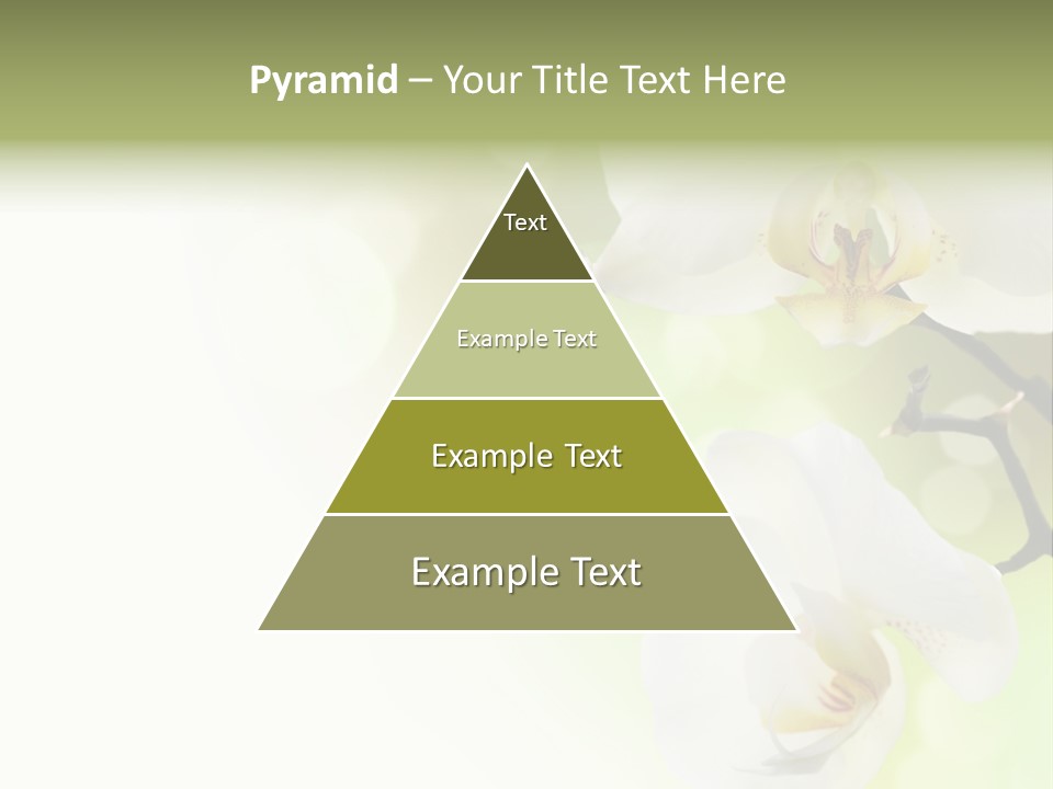 Beautiful Decorative Stem PowerPoint Template