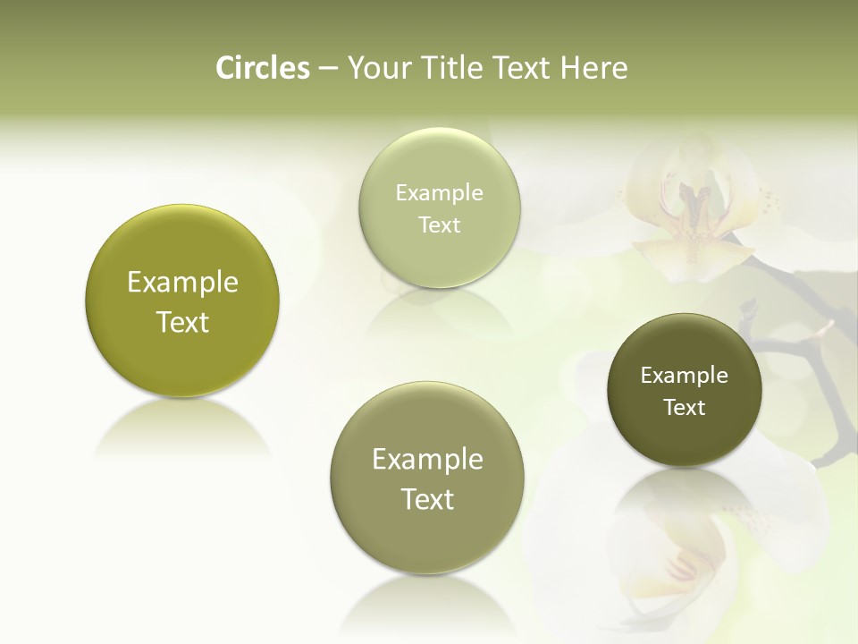 Beautiful Decorative Stem PowerPoint Template
