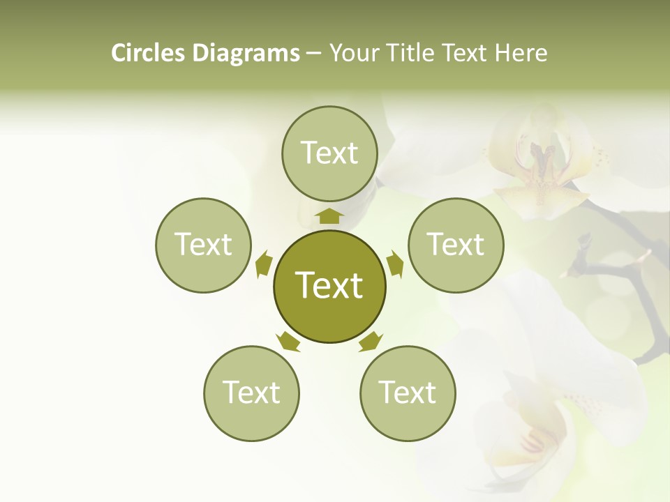 Beautiful Decorative Stem PowerPoint Template