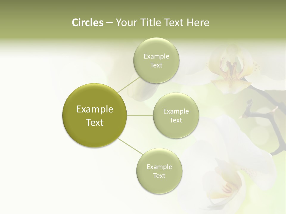 Beautiful Decorative Stem PowerPoint Template