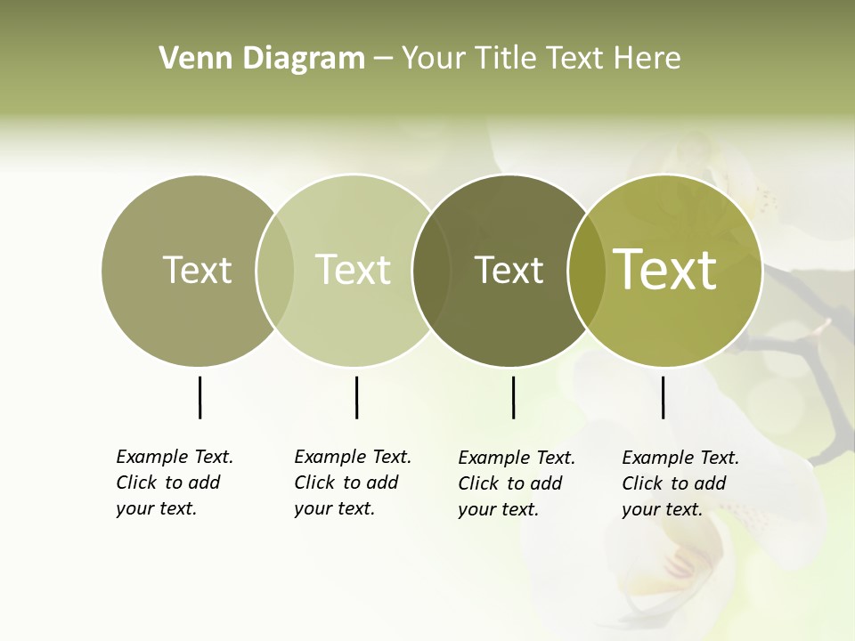 Beautiful Decorative Stem PowerPoint Template