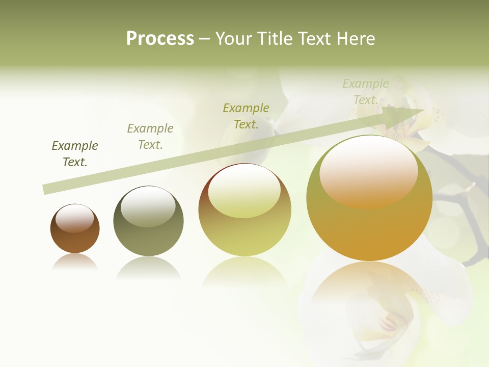 Beautiful Decorative Stem PowerPoint Template