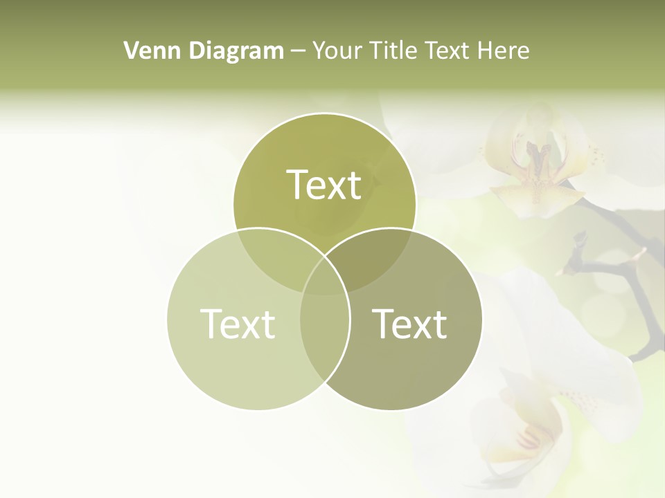 Beautiful Decorative Stem PowerPoint Template