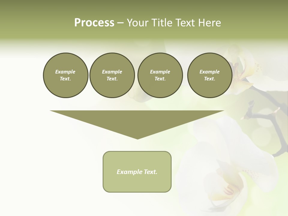 Beautiful Decorative Stem PowerPoint Template