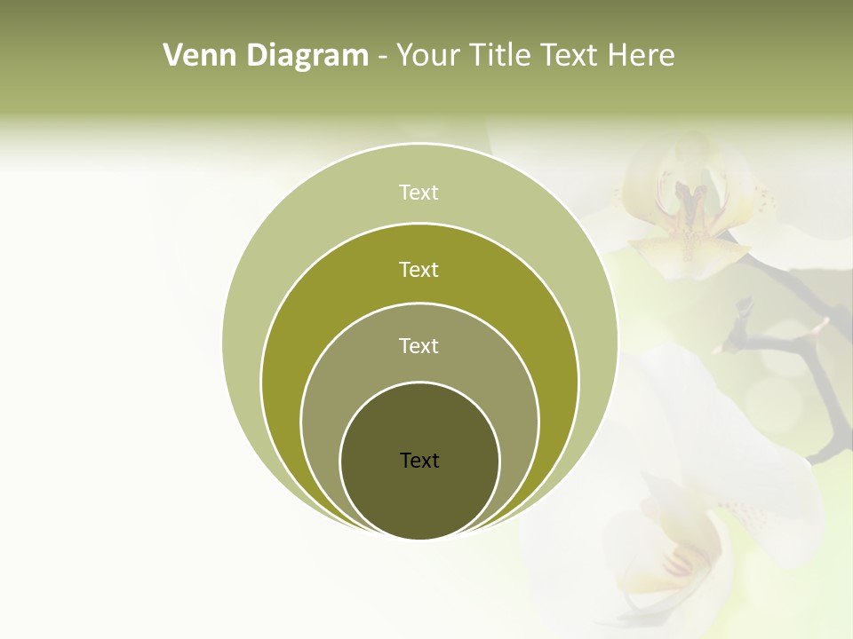 Beautiful Decorative Stem PowerPoint Template
