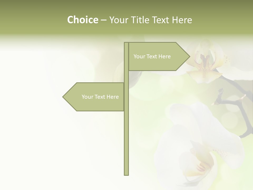 Beautiful Decorative Stem PowerPoint Template