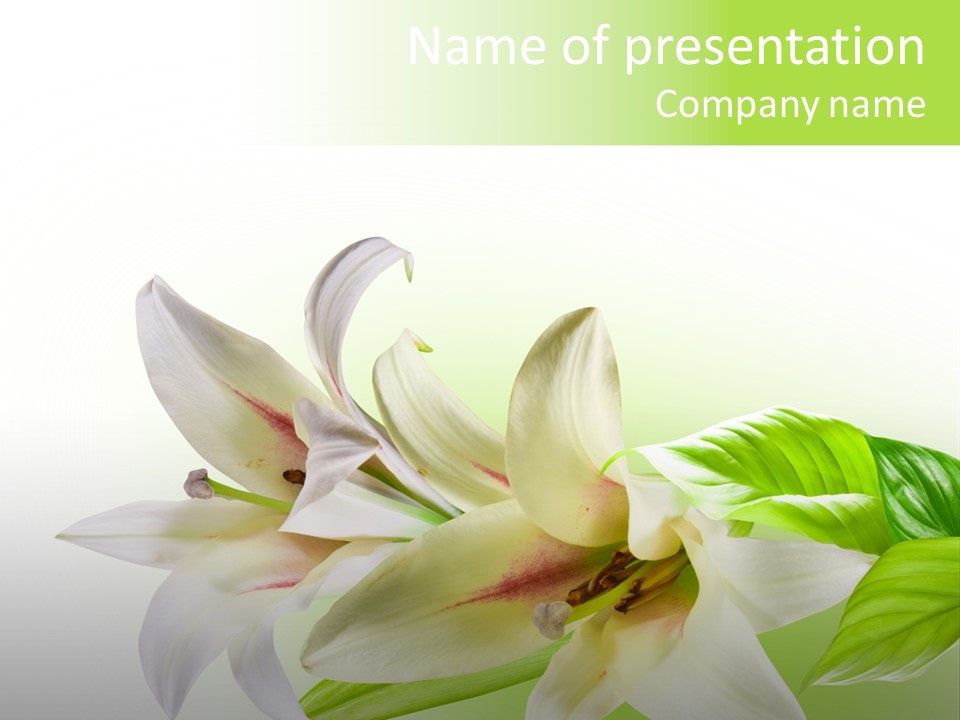 Pastel Spring Beauty PowerPoint Template