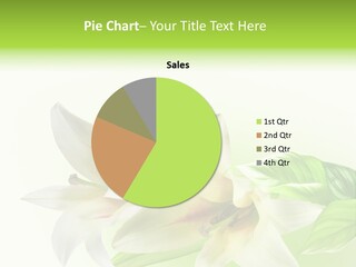 Pastel Spring Beauty PowerPoint Template