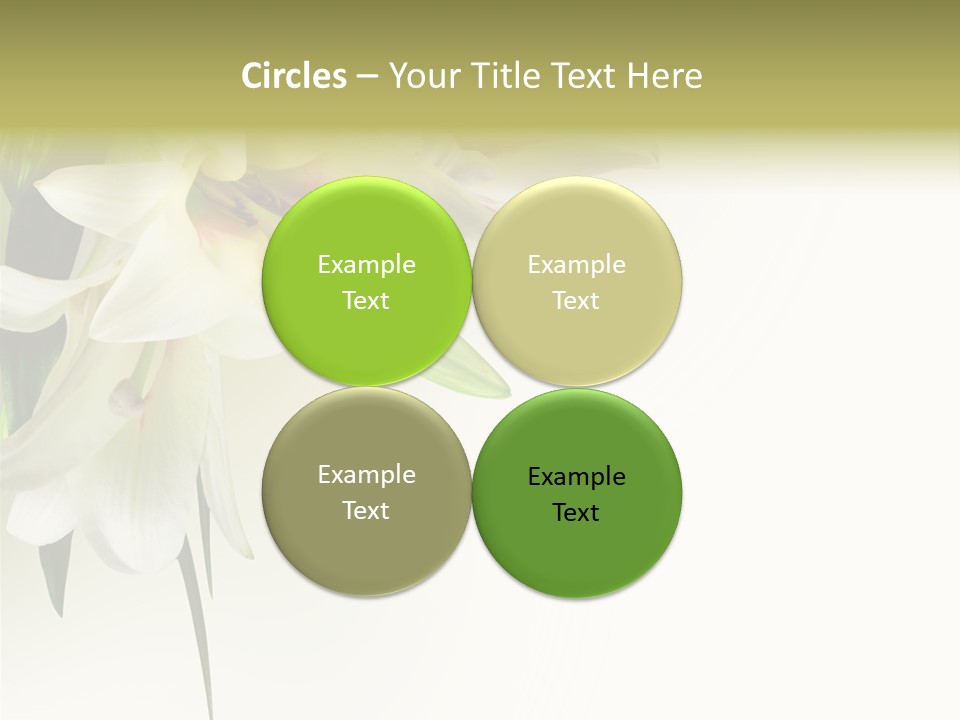 Beauty Lily Group PowerPoint Template