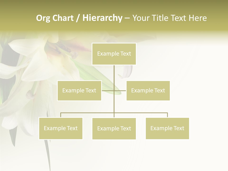 Beauty Lily Group PowerPoint Template