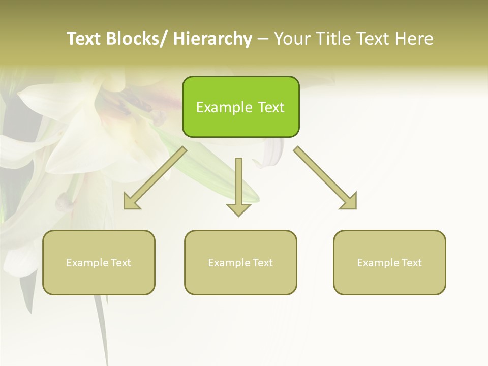 Beauty Lily Group PowerPoint Template