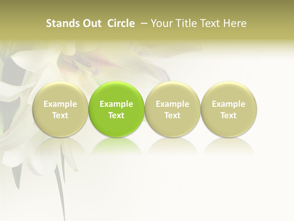 Beauty Lily Group PowerPoint Template