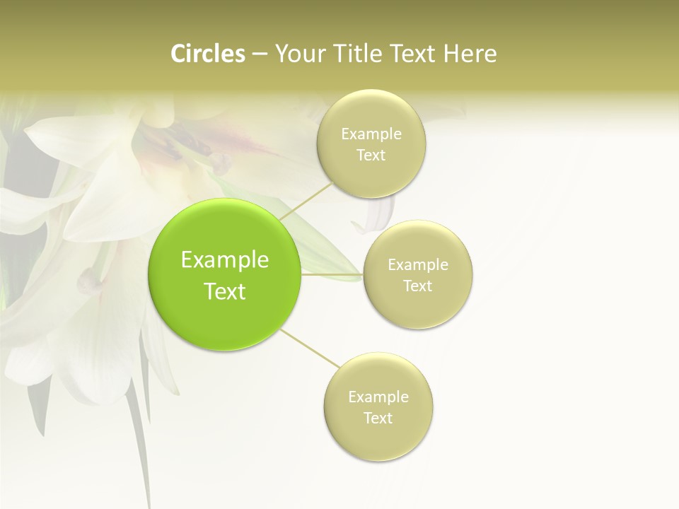 Beauty Lily Group PowerPoint Template