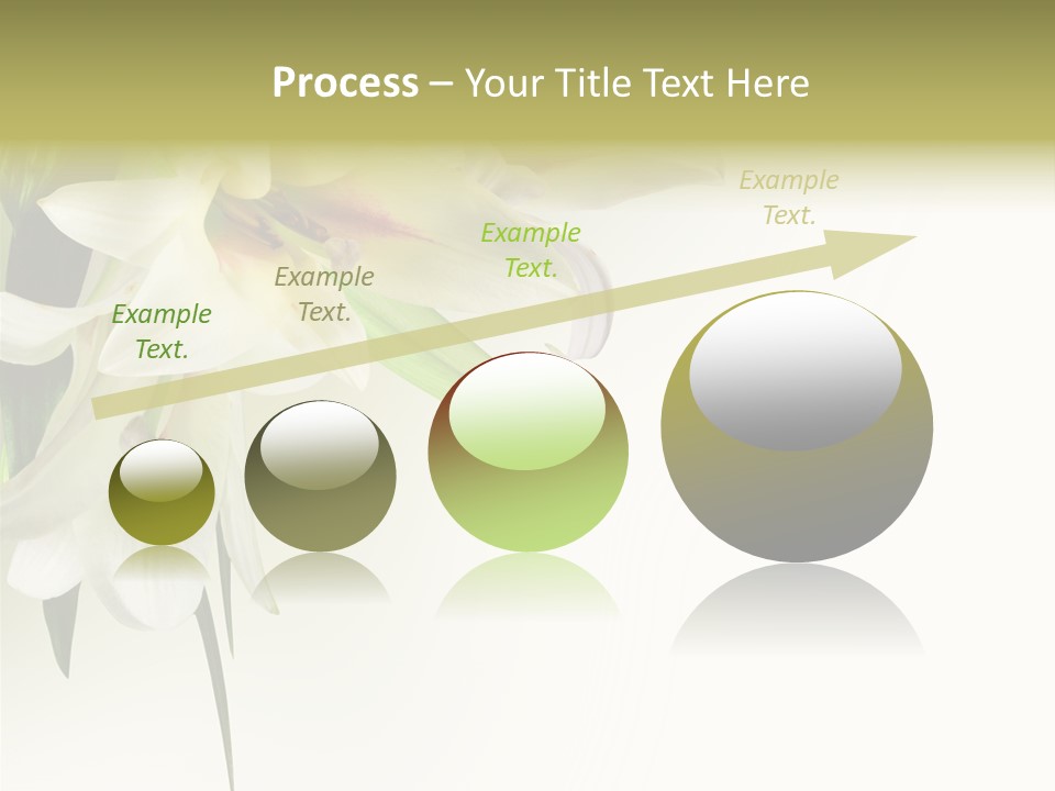 Beauty Lily Group PowerPoint Template