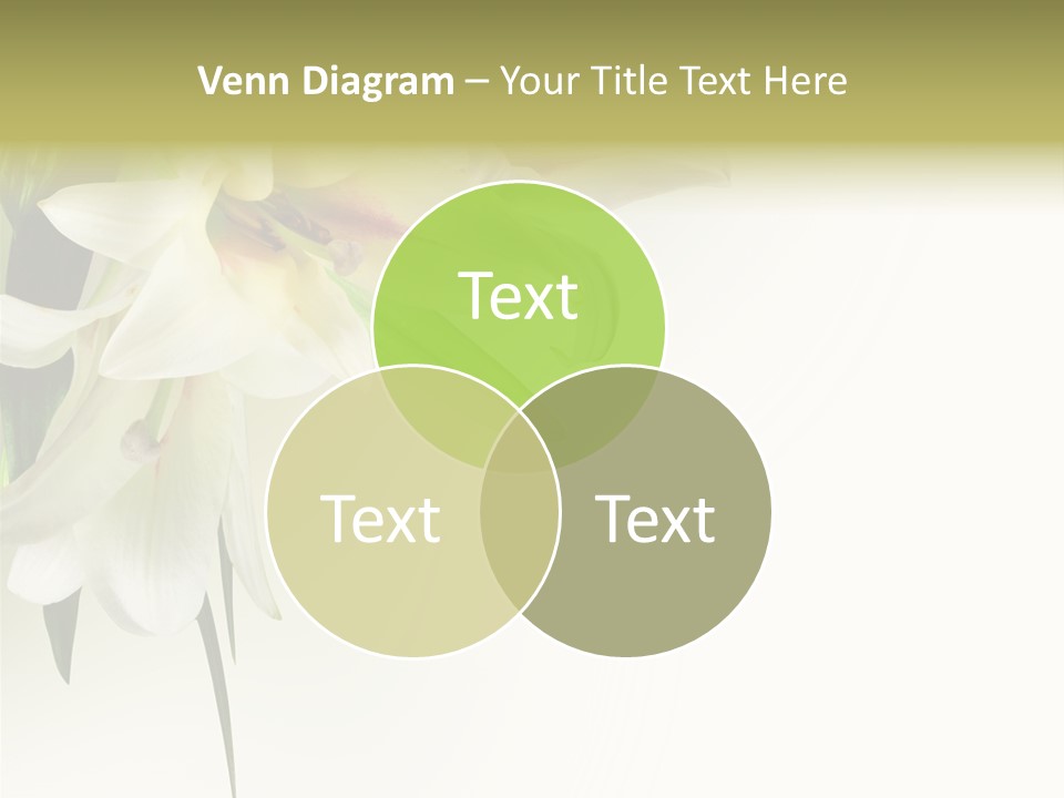 Beauty Lily Group PowerPoint Template