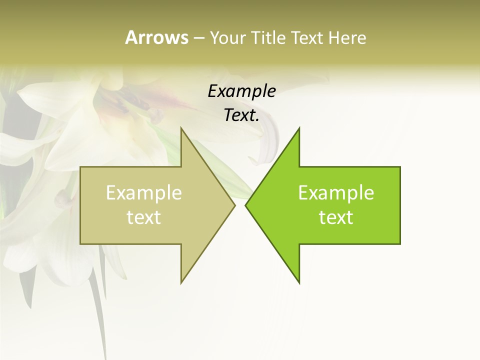 Beauty Lily Group PowerPoint Template