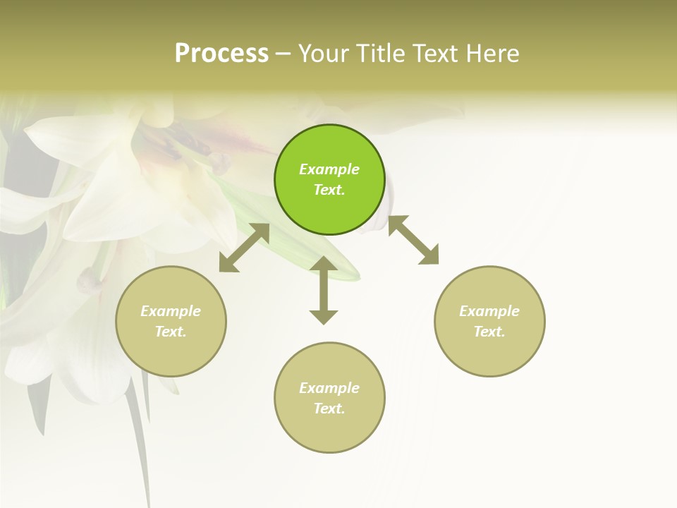 Beauty Lily Group PowerPoint Template