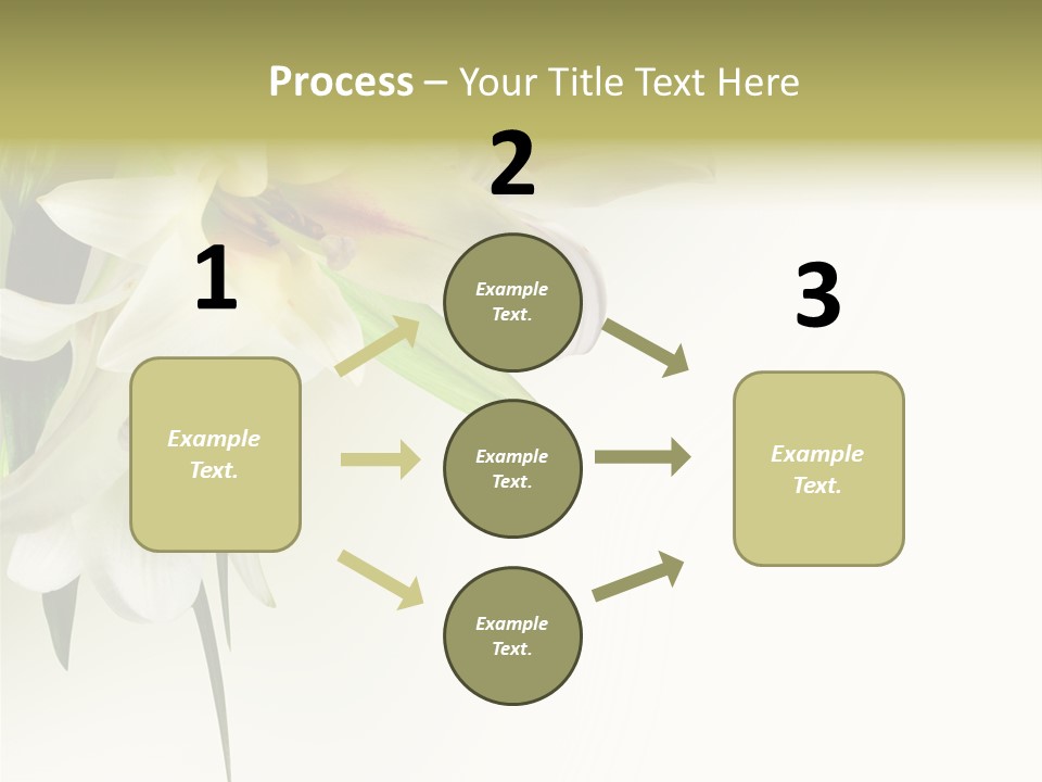 Beauty Lily Group PowerPoint Template