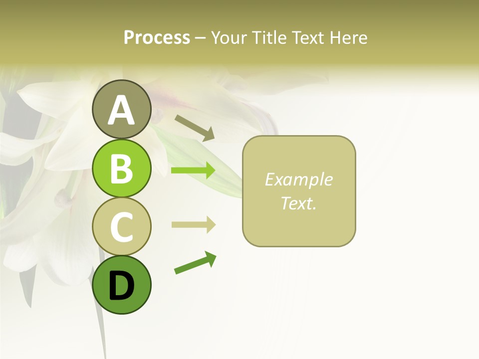 Beauty Lily Group PowerPoint Template