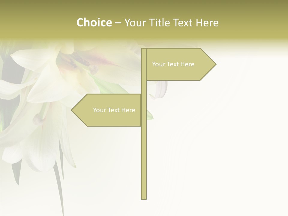 Beauty Lily Group PowerPoint Template