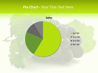 Green Drip Fresh PowerPoint Template