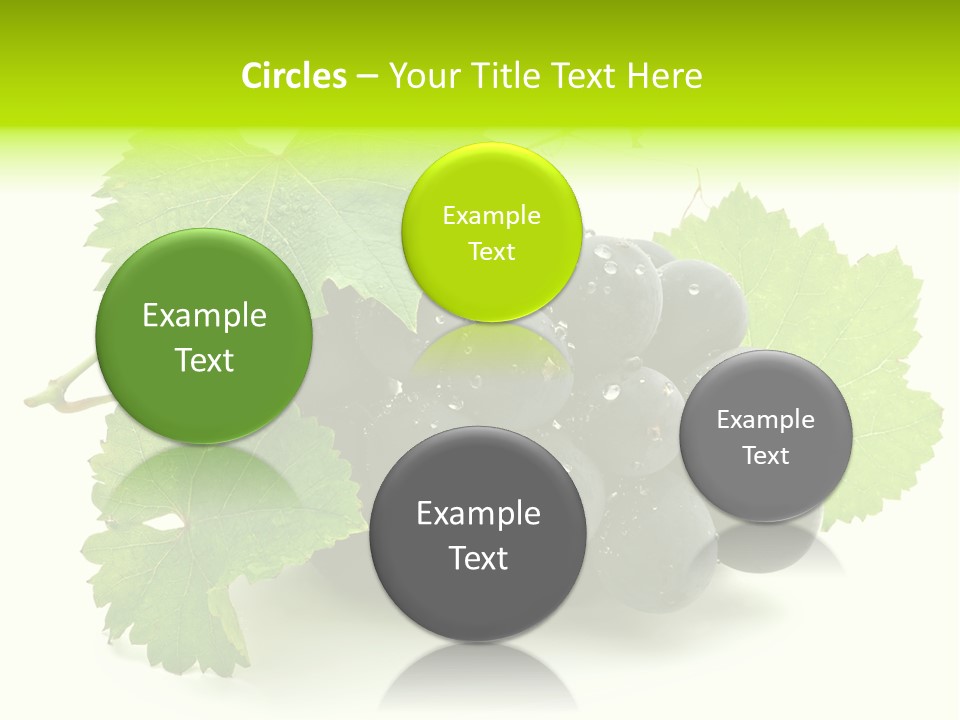 Green Drip Fresh PowerPoint Template