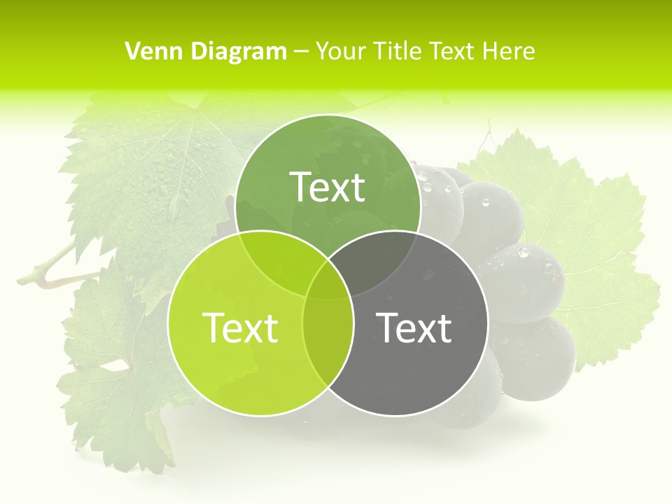 Green Drip Fresh PowerPoint Template
