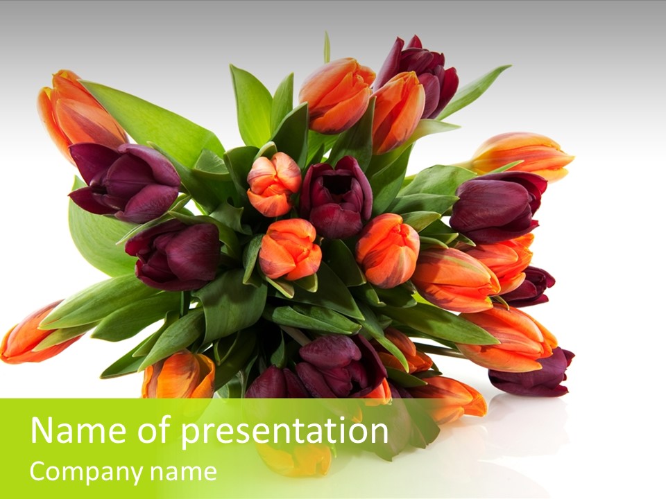 Mixed Bulbs Background PowerPoint Template