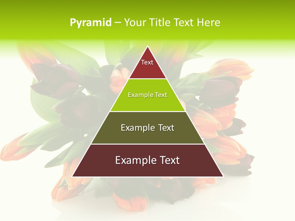 Mixed Bulbs Background PowerPoint Template