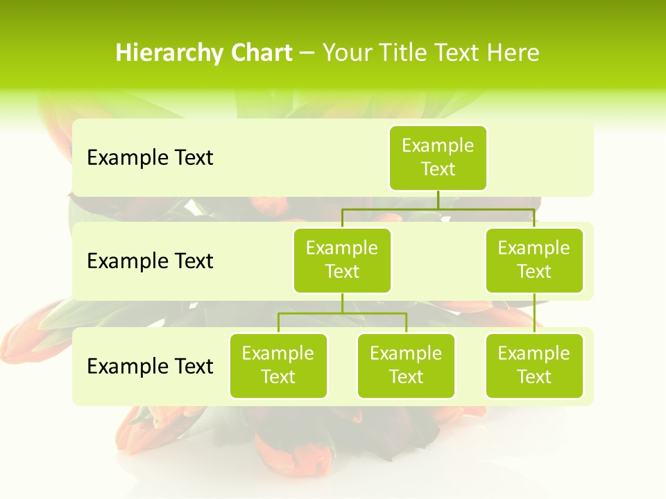 Mixed Bulbs Background PowerPoint Template