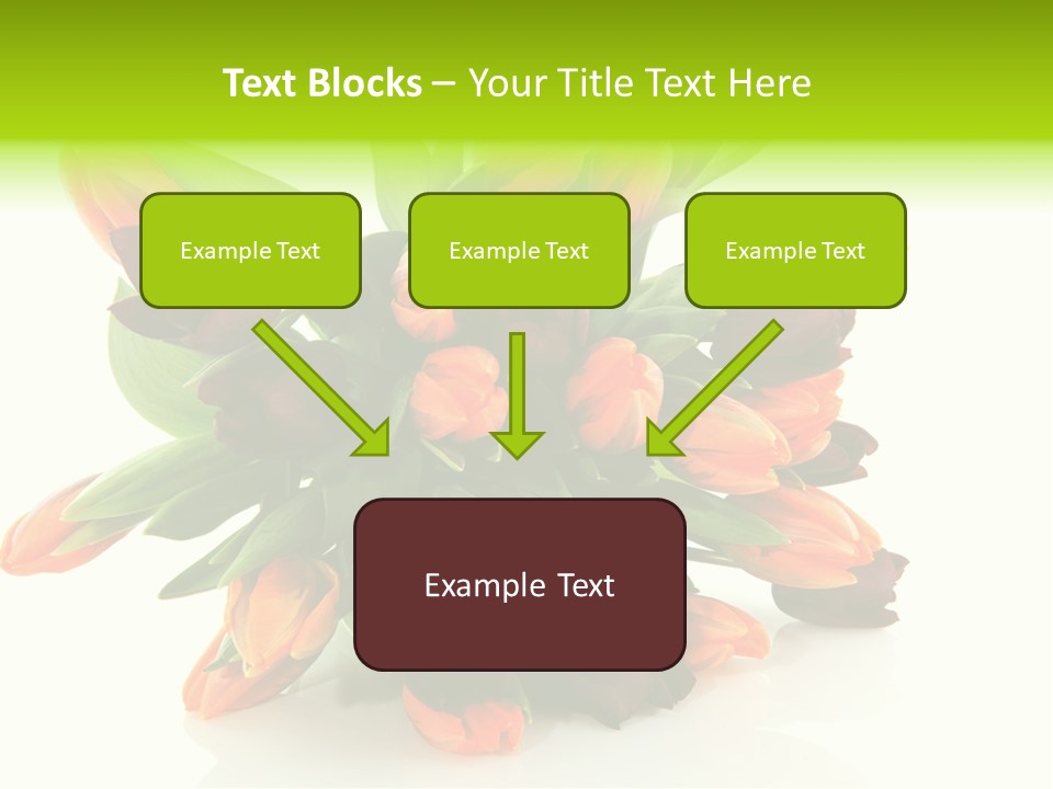 Mixed Bulbs Background PowerPoint Template