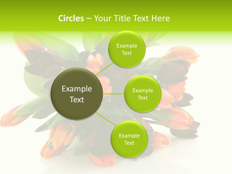 Mixed Bulbs Background PowerPoint Template