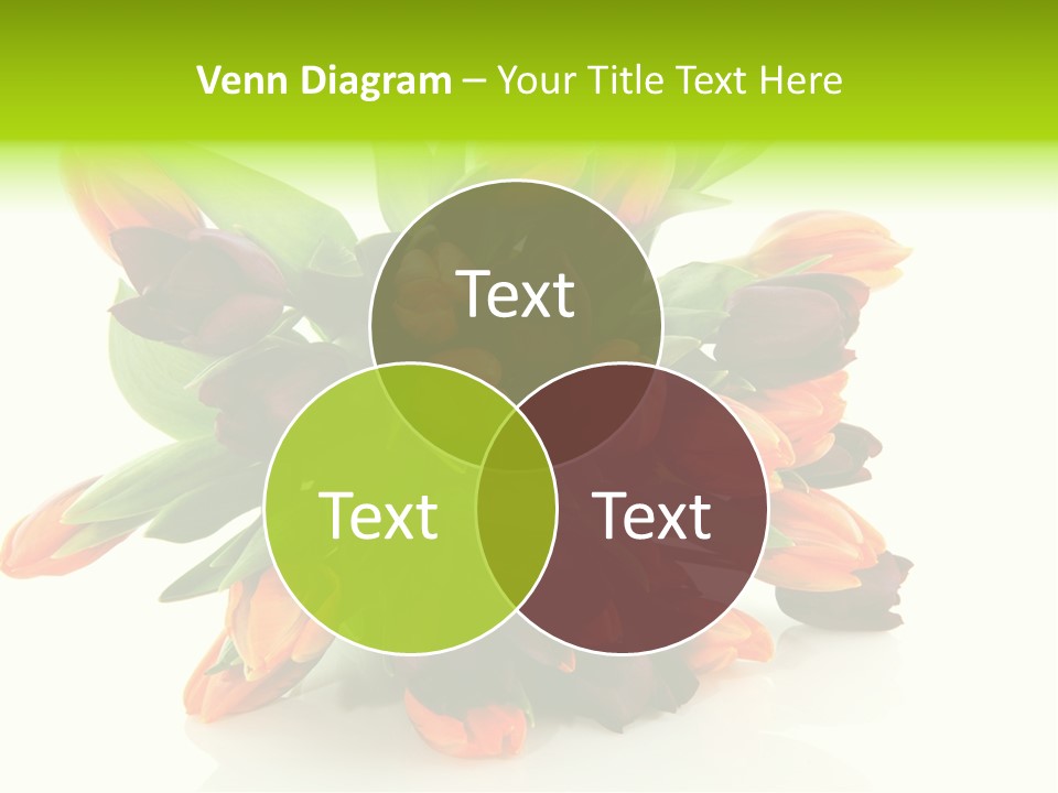 Mixed Bulbs Background PowerPoint Template