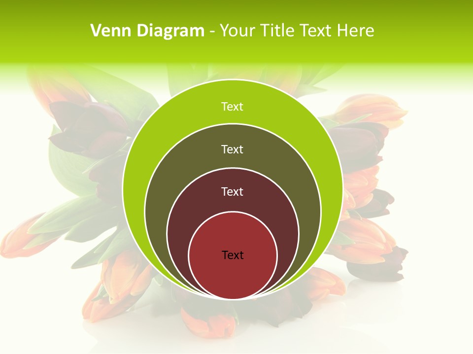 Mixed Bulbs Background PowerPoint Template