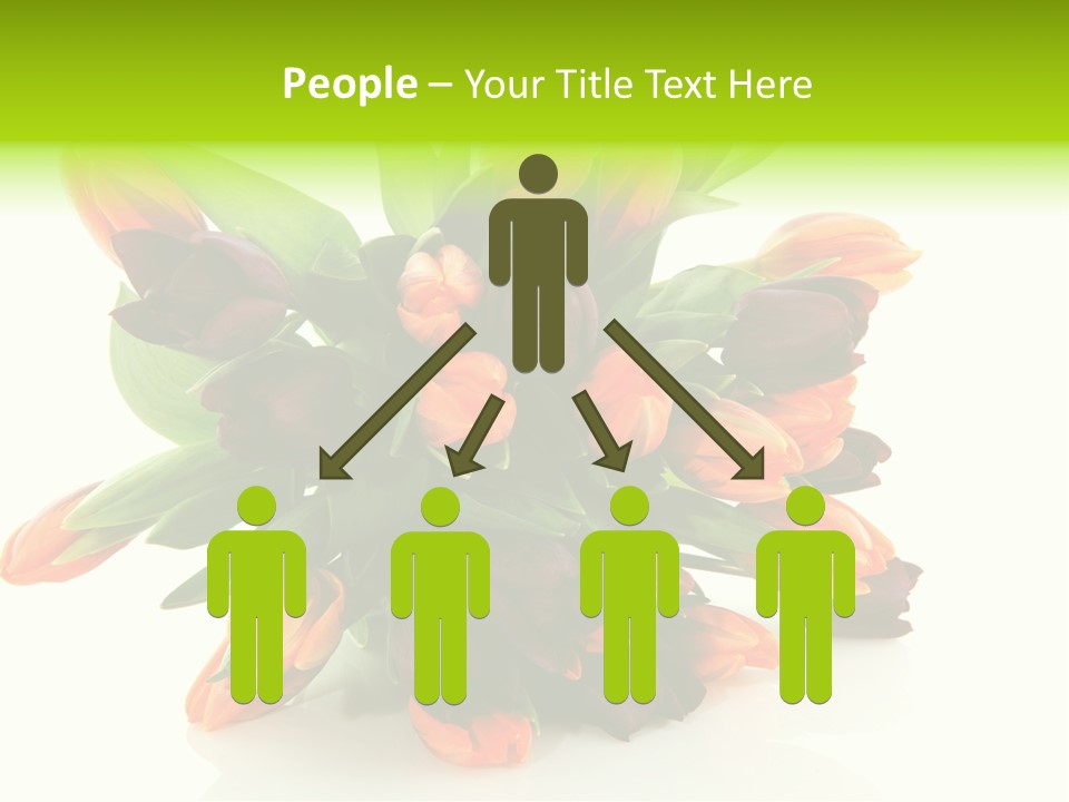 Mixed Bulbs Background PowerPoint Template