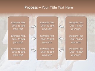 Nice Bush Bride PowerPoint Template