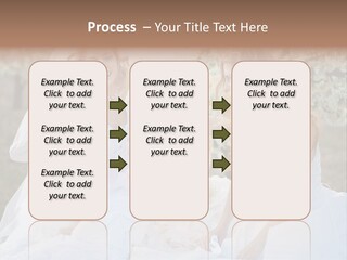 Nice Bush Bride PowerPoint Template