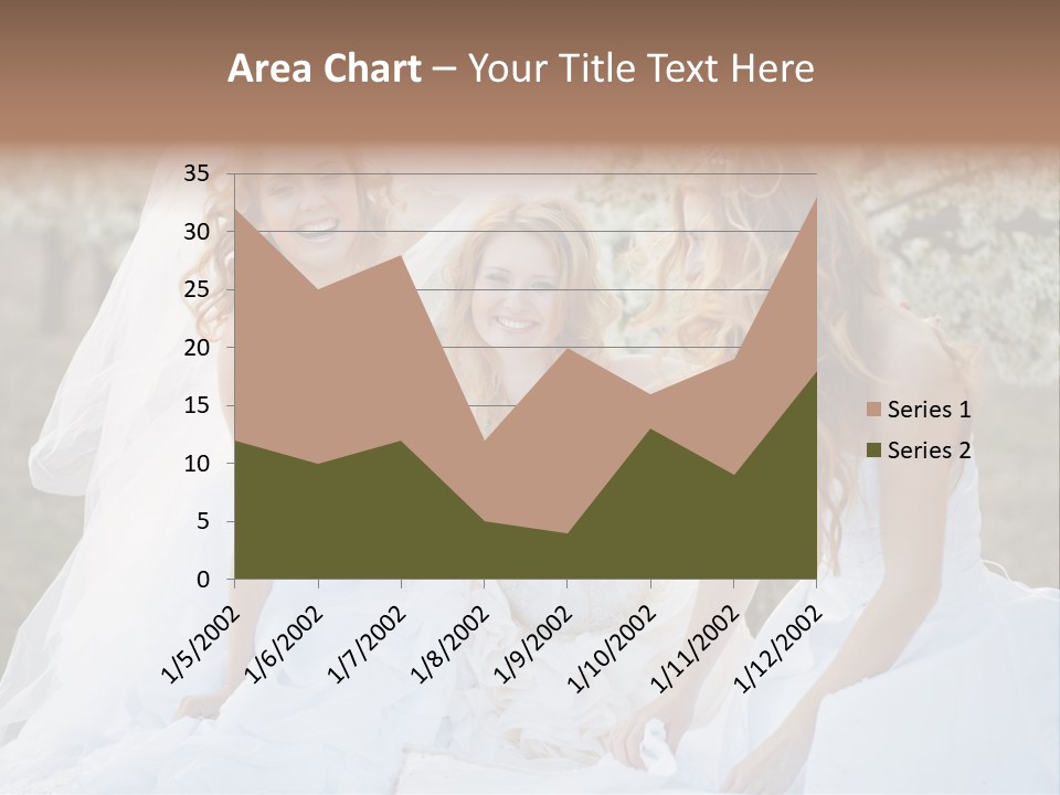 Nice Bush Bride PowerPoint Template