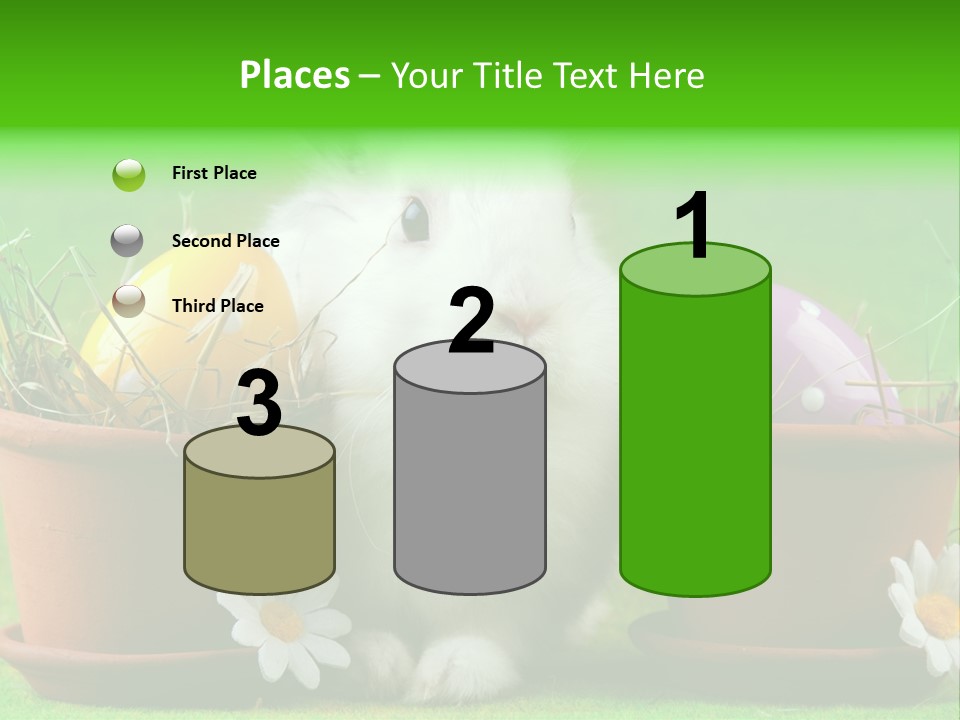 Hopping Grass Daisies PowerPoint Template
