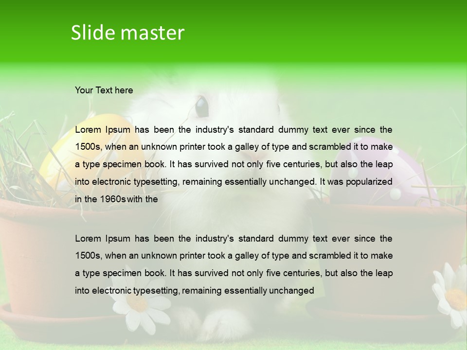 Hopping Grass Daisies PowerPoint Template