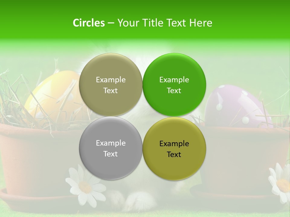 Hopping Grass Daisies PowerPoint Template