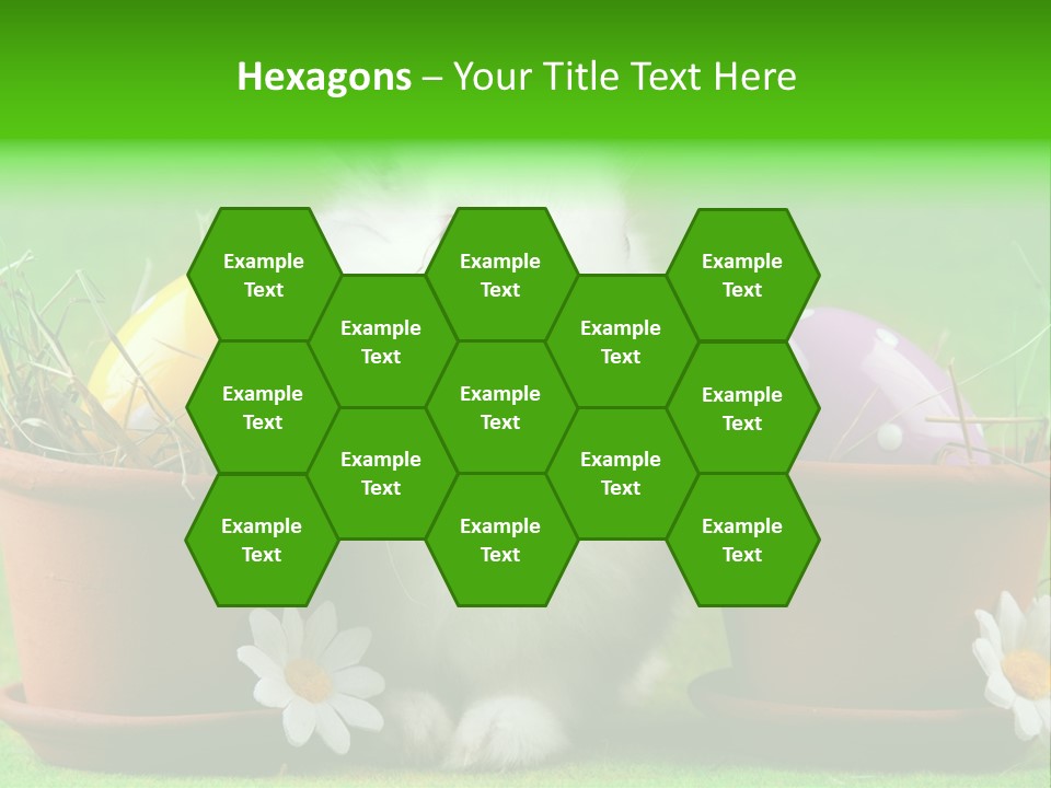 Hopping Grass Daisies PowerPoint Template