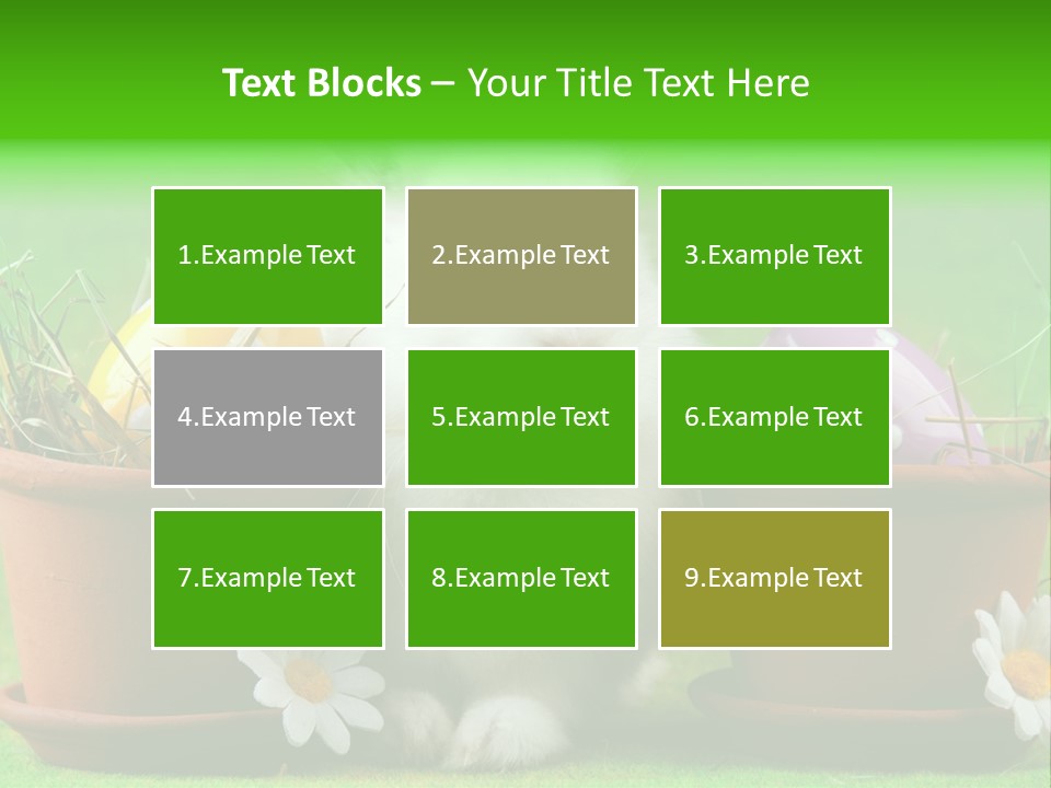 Hopping Grass Daisies PowerPoint Template