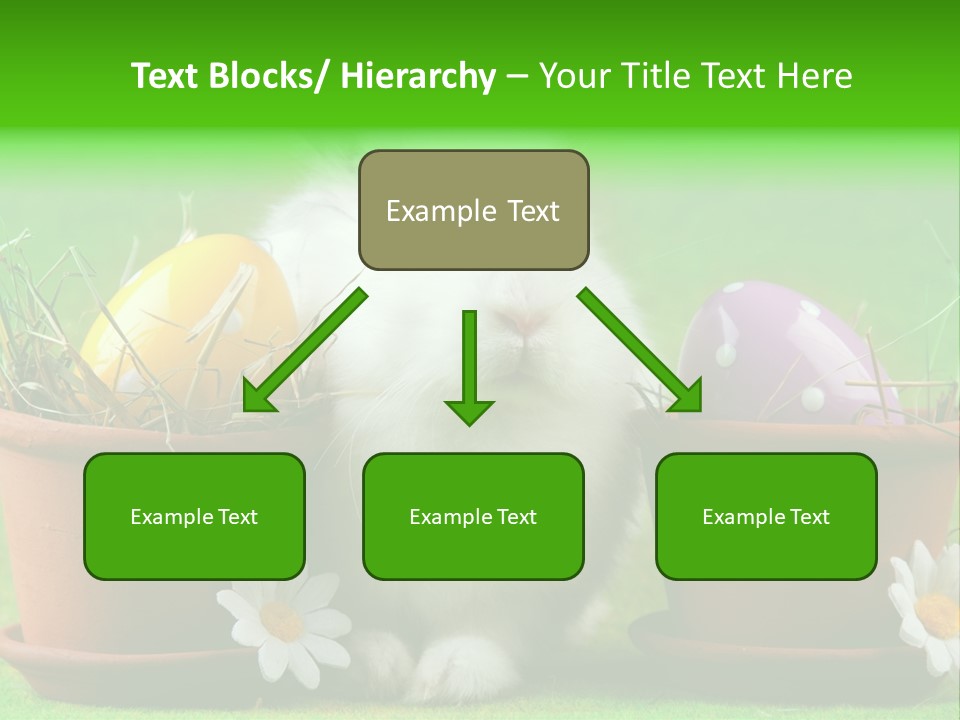 Hopping Grass Daisies PowerPoint Template