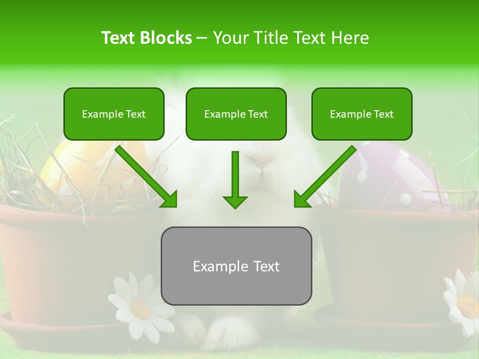 Hopping Grass Daisies PowerPoint Template