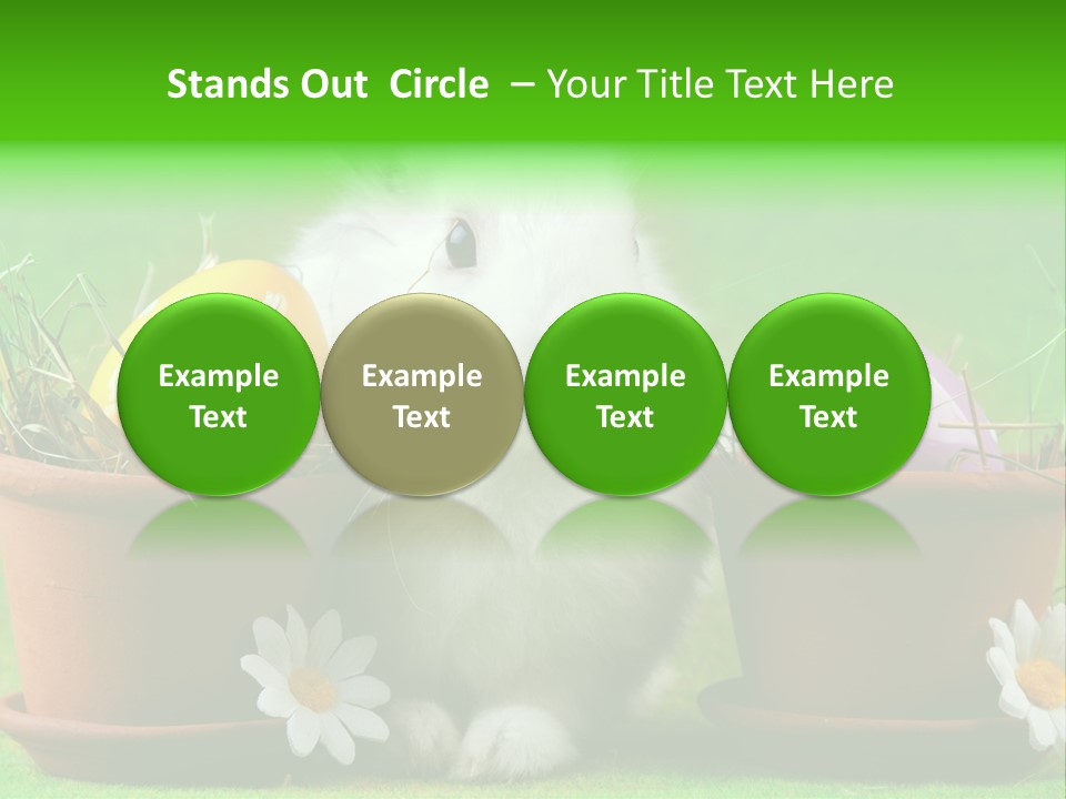 Hopping Grass Daisies PowerPoint Template