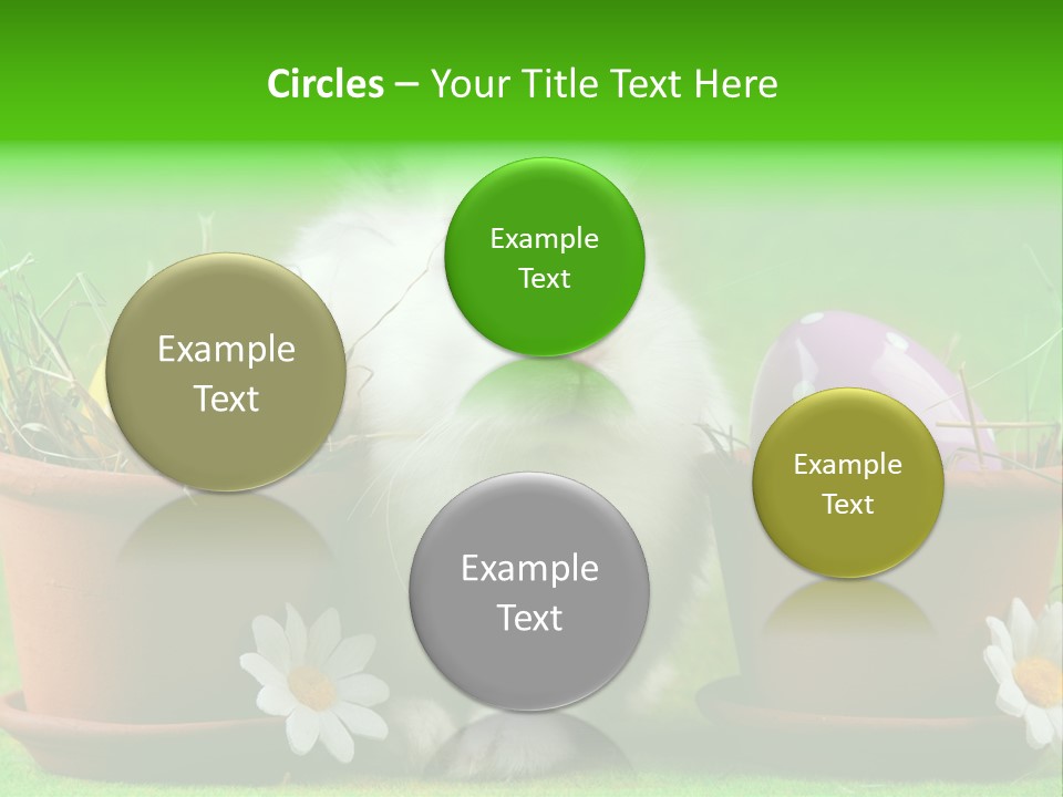 Hopping Grass Daisies PowerPoint Template