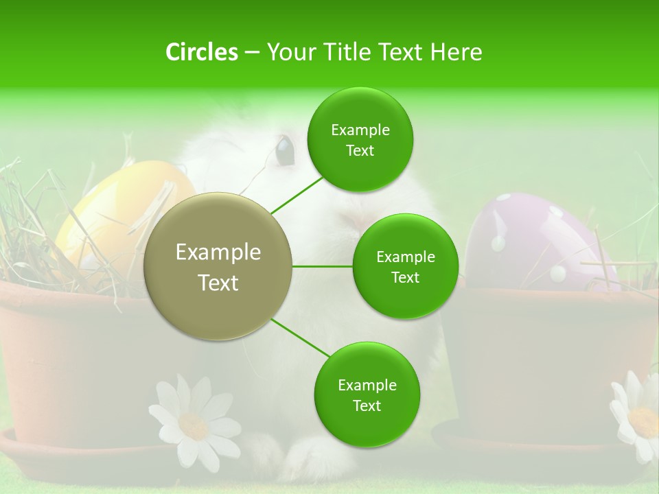 Hopping Grass Daisies PowerPoint Template