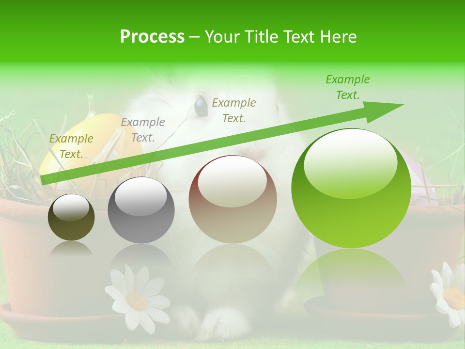 Hopping Grass Daisies PowerPoint Template