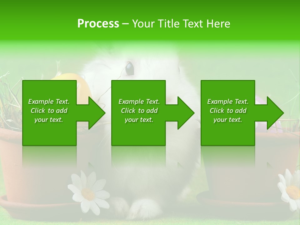 Hopping Grass Daisies PowerPoint Template